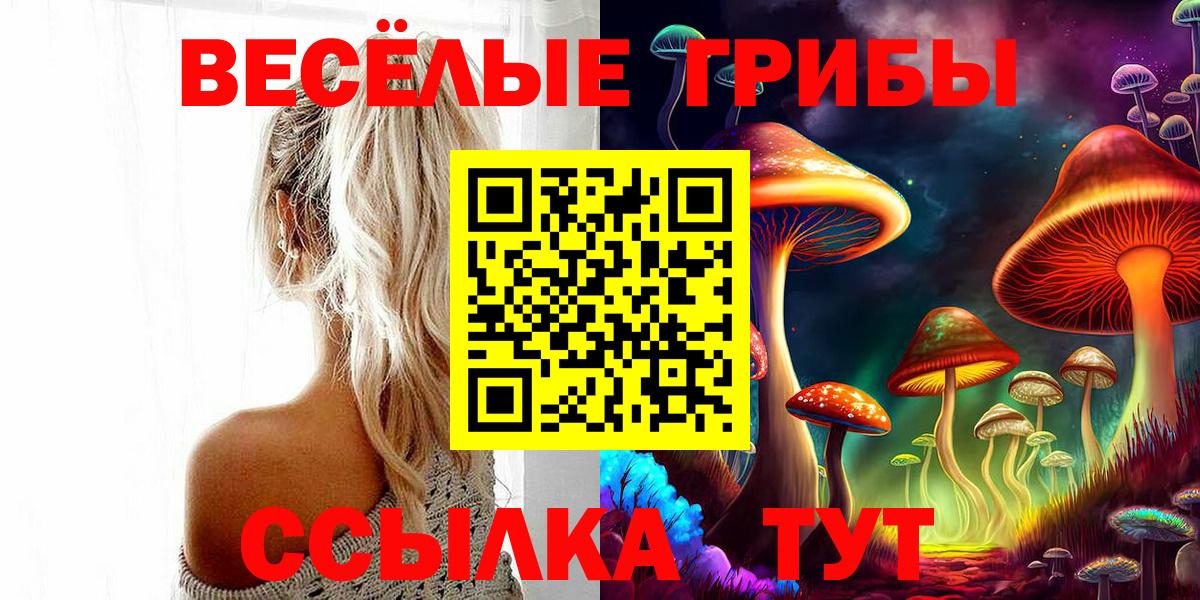 закладки  Вход с VPN  Псилоцибиновые грибы ЛСД  Сергиев Посад  Галлюциногенные грибы ЛСД 